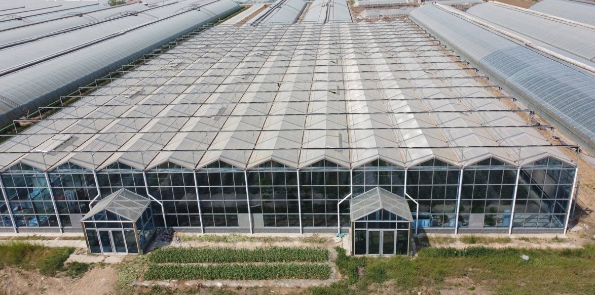 建造温室大棚应注意的四个要点