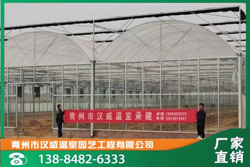 山东省临沭县石门镇二期工程4000玻璃温室+3200平米连栋温室